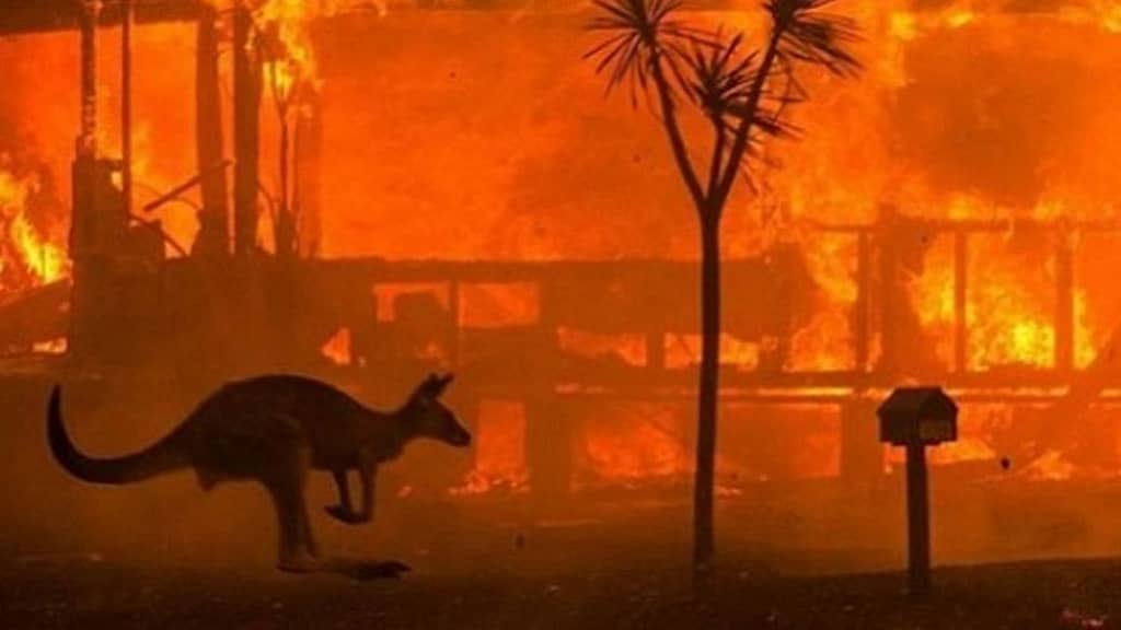 Australian Bush fire 